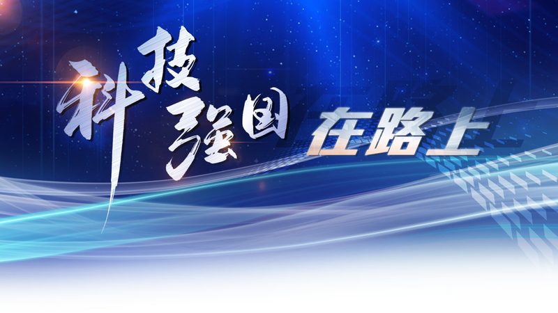 星型模型与雪花模型：企业级数据架构的差异化选择