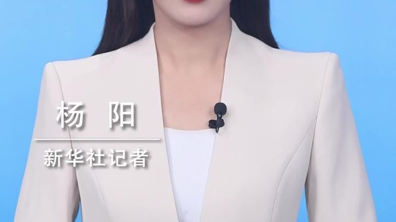 智慧解决方案验收报告模板：构建企业数字化转型里程碑