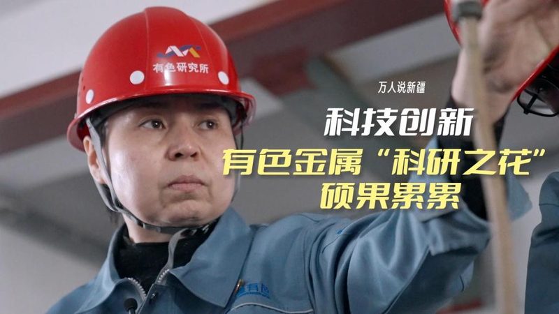 企业搜索技术架构规范：构建高效信息检索的基石